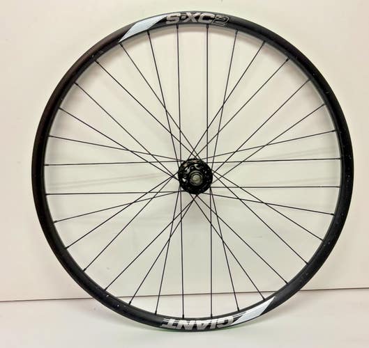 Giant S-XC2 32-Spoke Black Aluminum Disc Brake Thru Axle 29er Front Wheel CLEAN