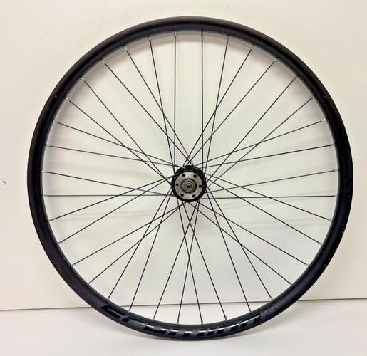 Schwinn 36-Spoke Black Aluminum Tubeless 29er Disc Brake QR Front Wheel