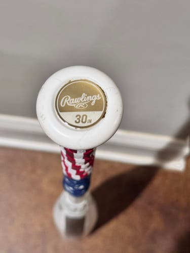 2024 Rawlings Icon Composite USSSA Certified Bat (-8) 22 oz 30" (Used)