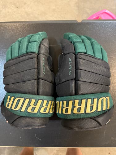 Warrior Alpha Gloves 15" (Used)