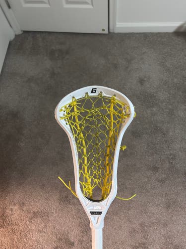 Gait Whip Stick (Used)