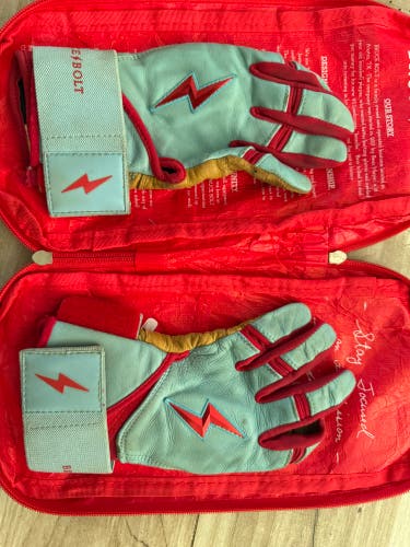 Bruce Bolt Youth Large Batting Gloves (Used)