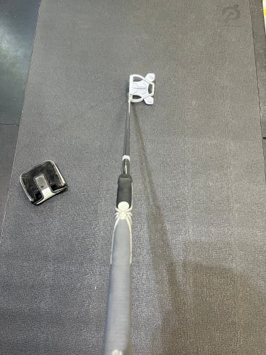 Men's TaylorMade Right Handed Putter 43" (New)
