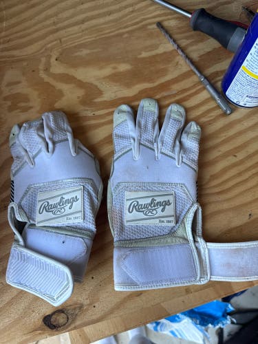Medium Rawlings Batting Gloves (Used)