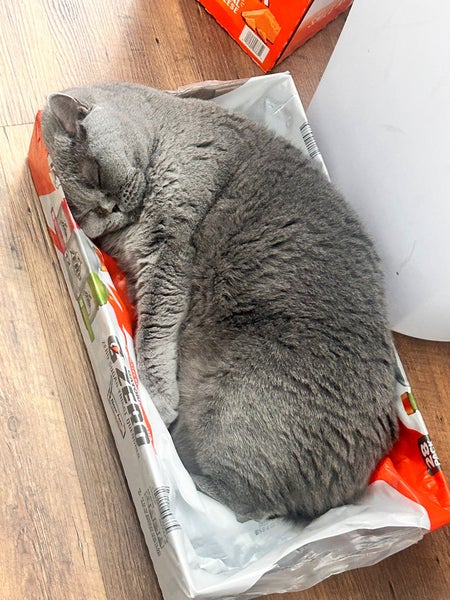 Cascade XRS Helmet (Used)