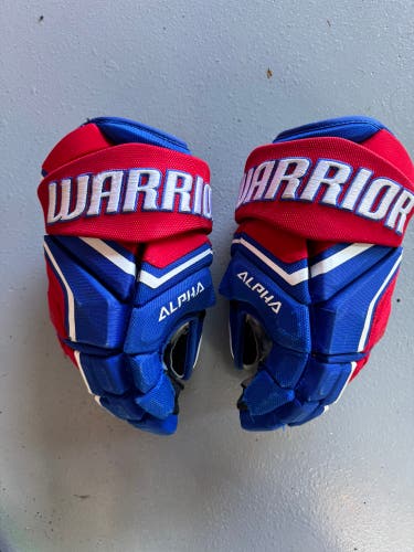 Warrior Alpha Gloves 13" (Used)