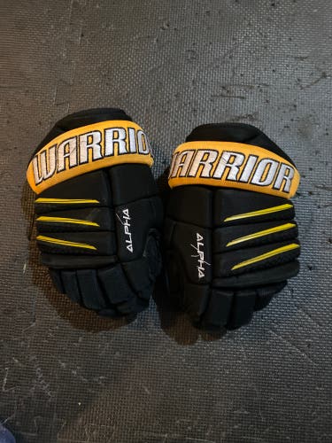 Warrior Alpha Gloves 10" (Used)