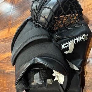 Brian's Iconik X Regular (Used)