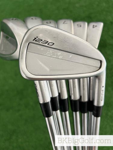 Ping i230 Iron Set 4-W / NS Pro Modus Tour 105 Extra Stiff