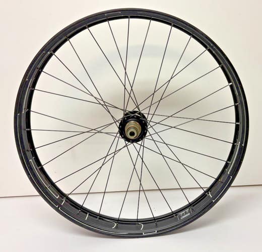 HED Big Deal Black Aluminum 24" Disc Brake Thru Axle Fat Bike Rear Wheel