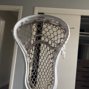 Gait Torque 3 Head need money to feed cats.