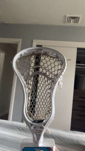 Gait Torque 3 Head need money to feed cats.