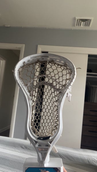 Gait Torque 3 Head need money to feed cats.