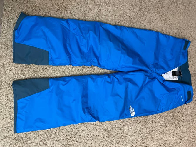 The North Face Blue Boys Youth Large Ski Pants (Used)