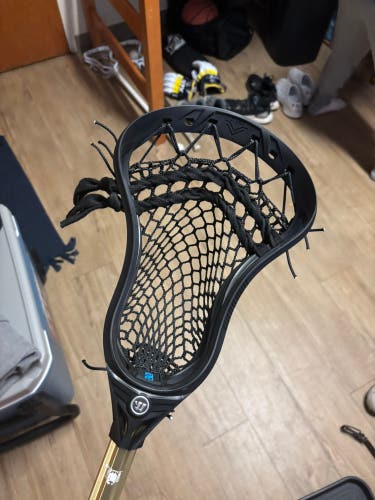 Warrior Evo V Strung Head (New)