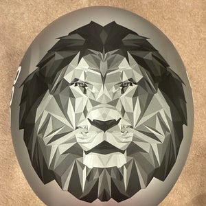 Medium/Large POC Helmet (New) FIS Legal