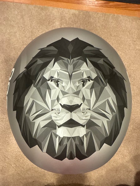 Medium/Large POC Helmet (New) FIS Legal