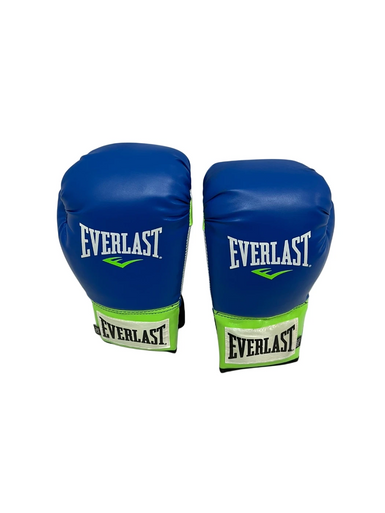 Used Everlast Boxing Gloves Royal Blue Senior 11692-S000142968