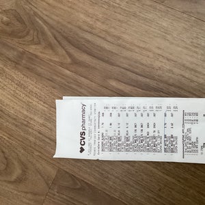 Cascade Pro-7 Helmet (Used)