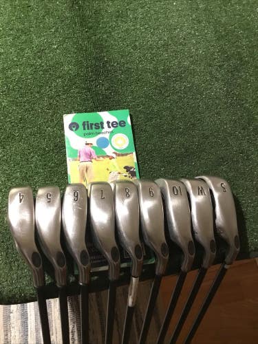 Callaway 2004 Big Bertha Irons Set (4-PW-GW-SW) Regular RCH 75i Graphite Shafts