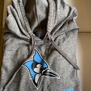 Gray Men's Large Sweatshirt (Used)