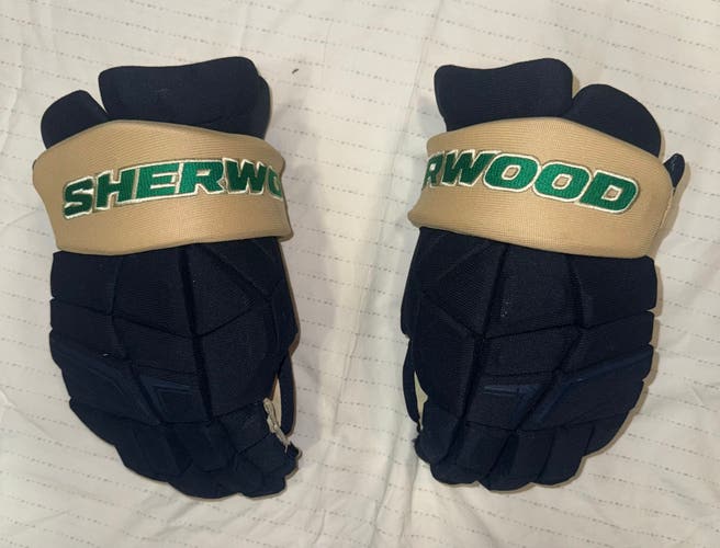 1 × 15" Sherwood Legend 1 Gloves - Team Stock Vancouver Canucks