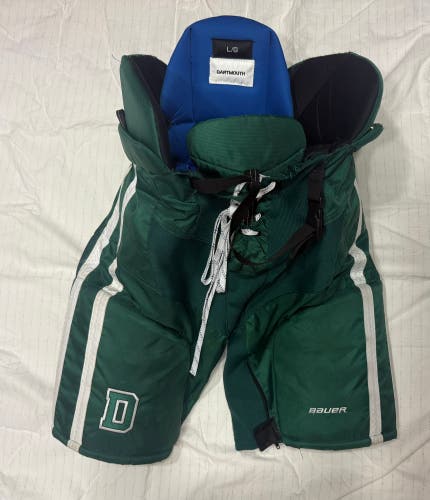 Dartmouth - Men's Senior Large Bauer Nexus Hockey Pants (Used)