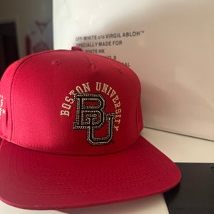 Mitchell & Ness And cactus Jack (Travis’s Scott) colab Men's Mitchell & Ness Hat (New)