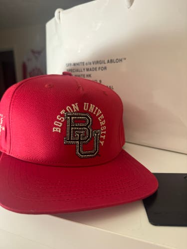 Mitchell & Ness And cactus Jack (Travis’s Scott) colab Men's Mitchell & Ness Hat (New)