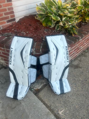34" 2023 Goalie Leg Pads (Used)