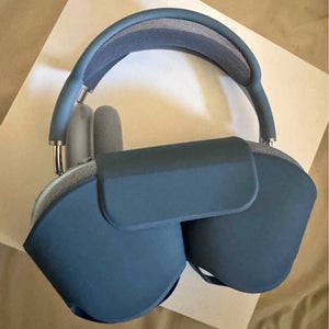 Apple Headphones (Used)