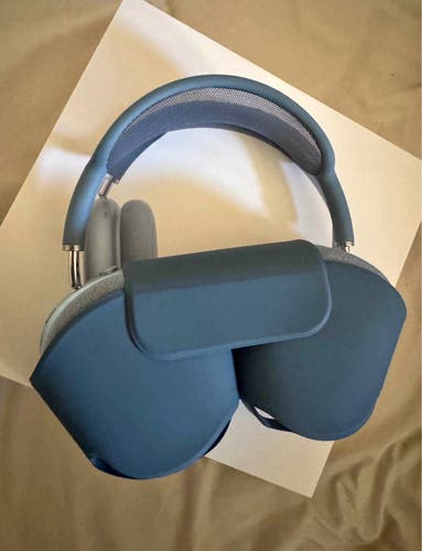 Apple Headphones (Used)