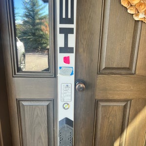 2022 HEAD World Cup Rebels e-GS RD 188 cm Racing Skis Without Bindings (Used)