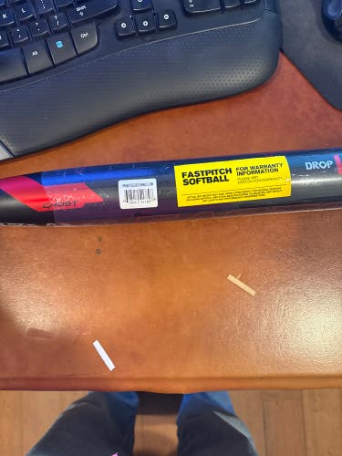 2024 Easton Ghost Advanced Composite Bat (-10) 22 oz 32" (New)