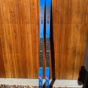 Dynastar 188 Speed WC FIS GS Skis - pair 2