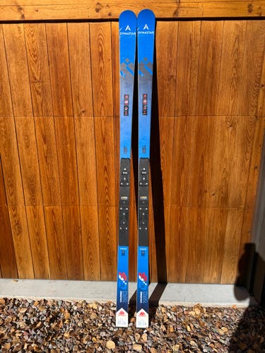 Dynastar 188 Speed WC FIS GS Skis - pair 2
