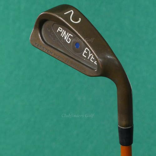 Ping Eye 2 BeCu Copper Blue Dot Single 2 Iron Graphite Design Tour AD-95 X-Stiff