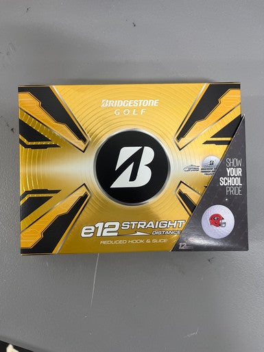 New e12 DZ UGA 11307-BSGE12GA