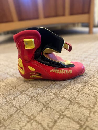Skate Size 10 Alpina Cross Country Ski Boots (Used)