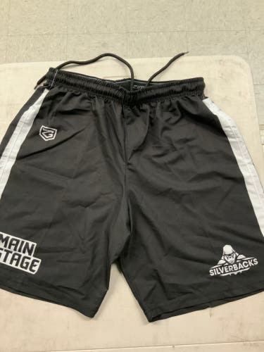 Main stage Silverbacks M