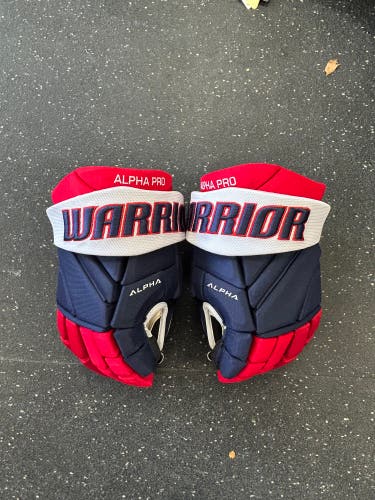 CUSTOM Kings Warrior Alpha Pro Gloves 14"