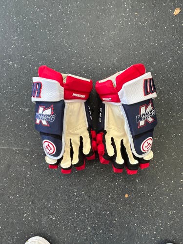 CUSTOM Kalamazoo Wings Warrior Alpha Pro Gloves 14"