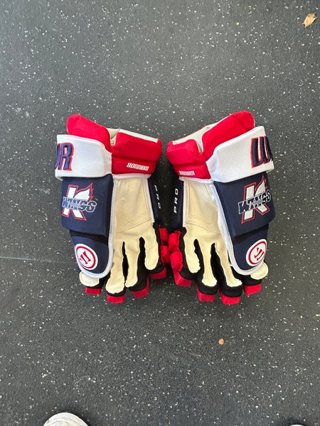 CUSTOM Kalamazoo Wings Warrior Alpha Pro Gloves 14"