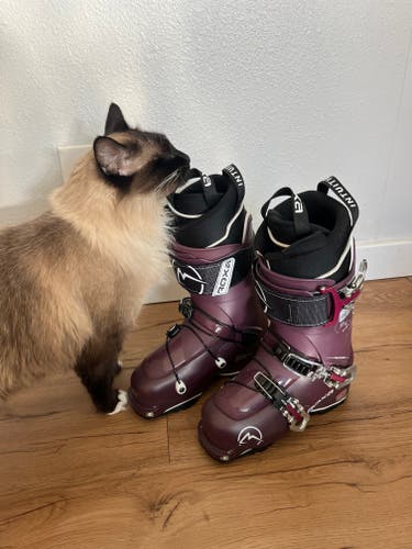 Mondo 22 & 22.5 Women's Roxa Alpine Touring Ski Boots Medium Flex (New)