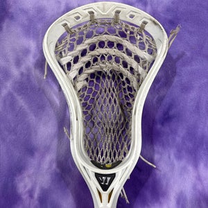 Warrior Regulator Max Head | White (Used)