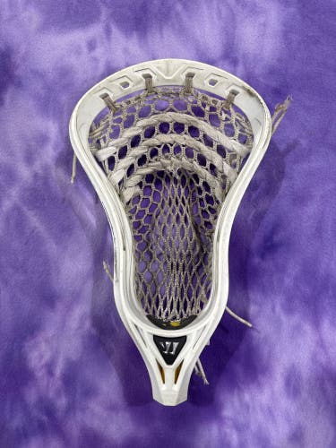 Defense Warrior Regulator Max Strung Head (Used)