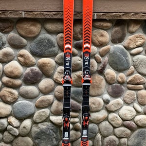 Men's 2023 Volkl Racetiger GS 193 cm Racing Skis With Bindings Max Din 16 (Used)