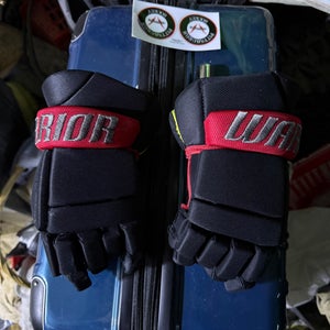 Youth Warrior 9inch gloves