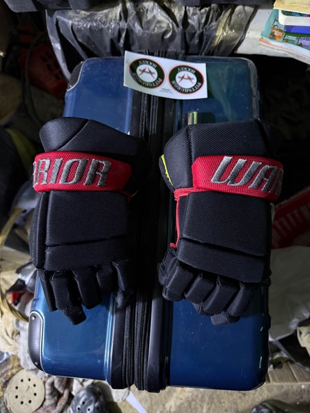 Youth Warrior 9inch gloves