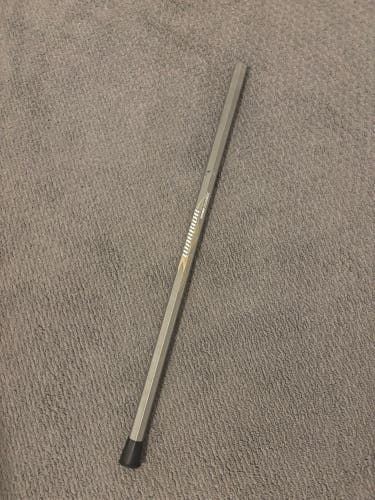 Adult Warrior Titan Classic Shaft (Used)